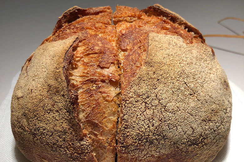 Indelible Memory: Life-Sustaining Abruzzese Bread Indelible Memory: Life-Sustaining Abruzzese Bread