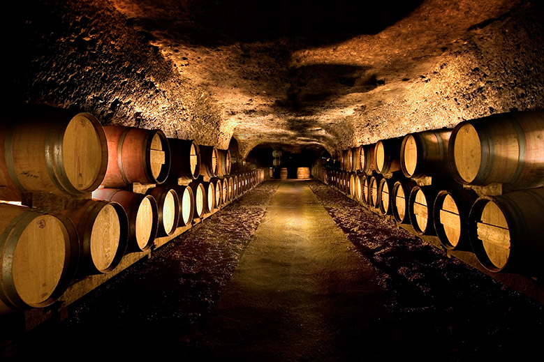 wine-tasting-in-the-loire-valley