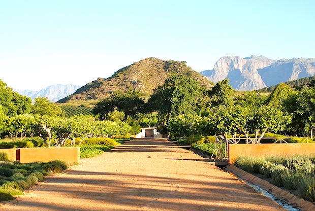 Babylonstoren,