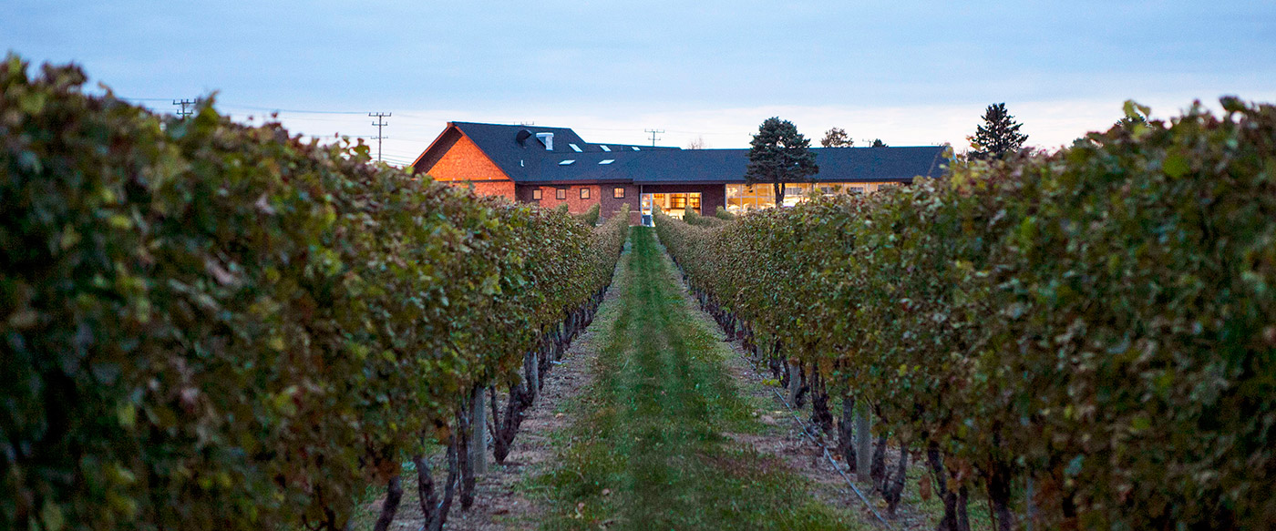  Exclusive My Pick of Rhode Island Wineries