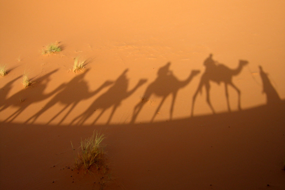 Camel ride through the desert