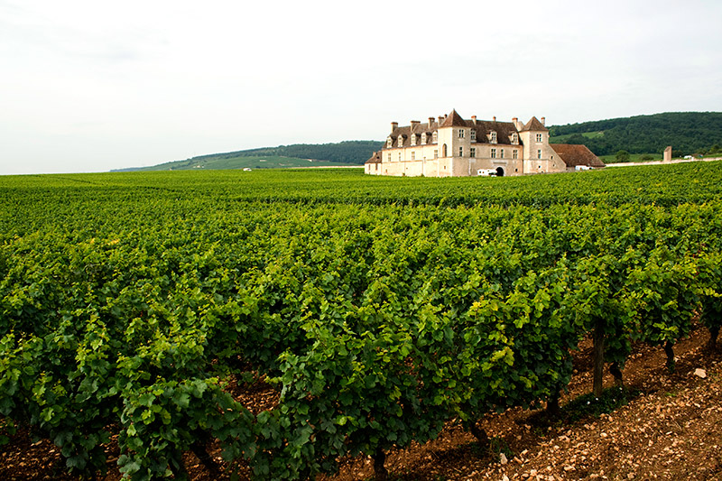 Wine Tasting Burgundy  Hideaway Report