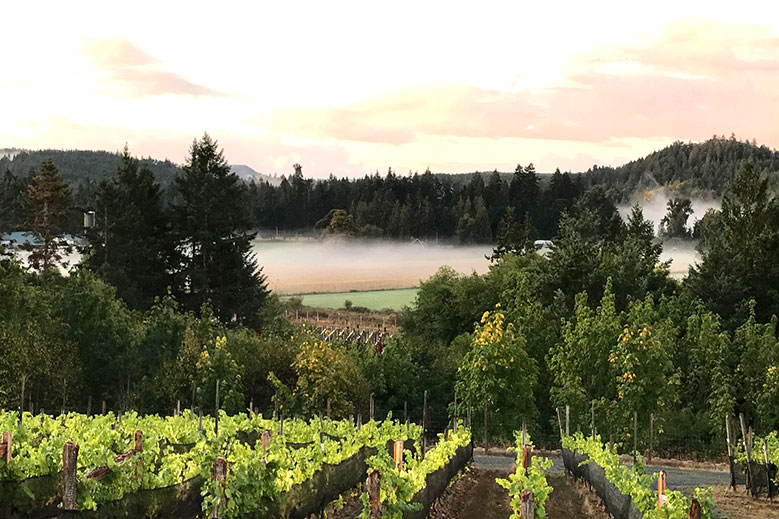 Our Favorite Cowichan Valley Wineries | Hideaway Report