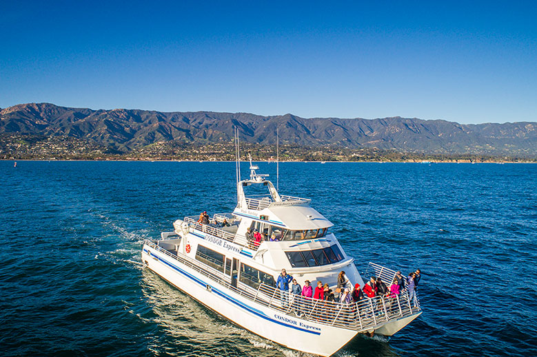 Whale Watching Off the Coast of Southern California | Hideaway Report