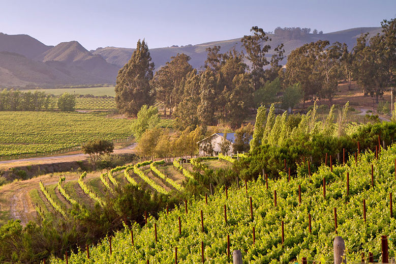 Santa Barbara Wine Country | Hideaway Report