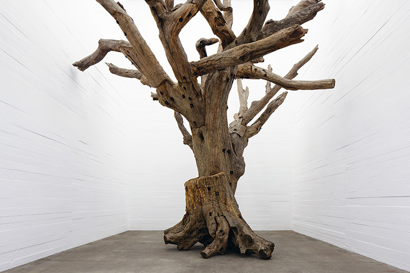 Ai Weiwei, “Tree,” 2009-2010 - © NOSHE