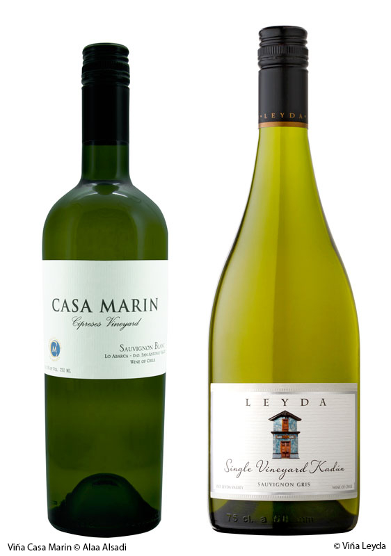 2013 Casa Marín Cipreses Vineyard Sauvignon Blanc and 2012 Leyda Kadún Vineyard Sauvignon Gris