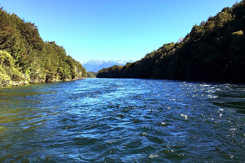 Waiau River near Fiordland Lodge