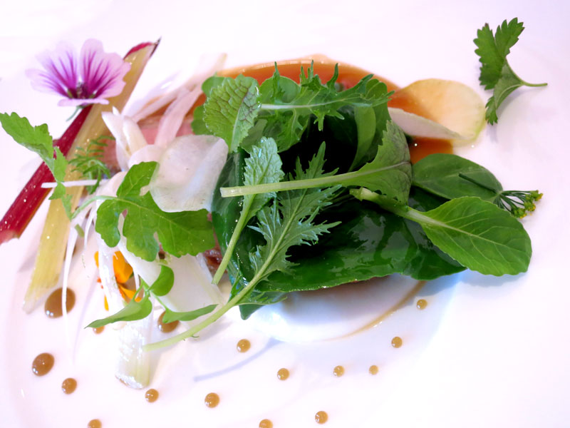 Steamed baby squid and herbs at <i>Piazza Duomo</i> - Photo by Hideaway Report editor
