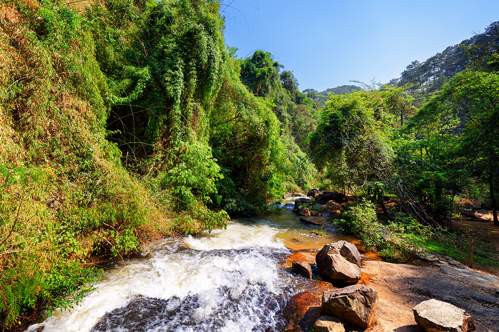 A mountain river courses through green woods near Da Lat