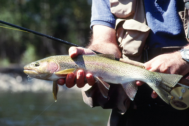 The Orvis FlyFishing School in Manchester, Vermont